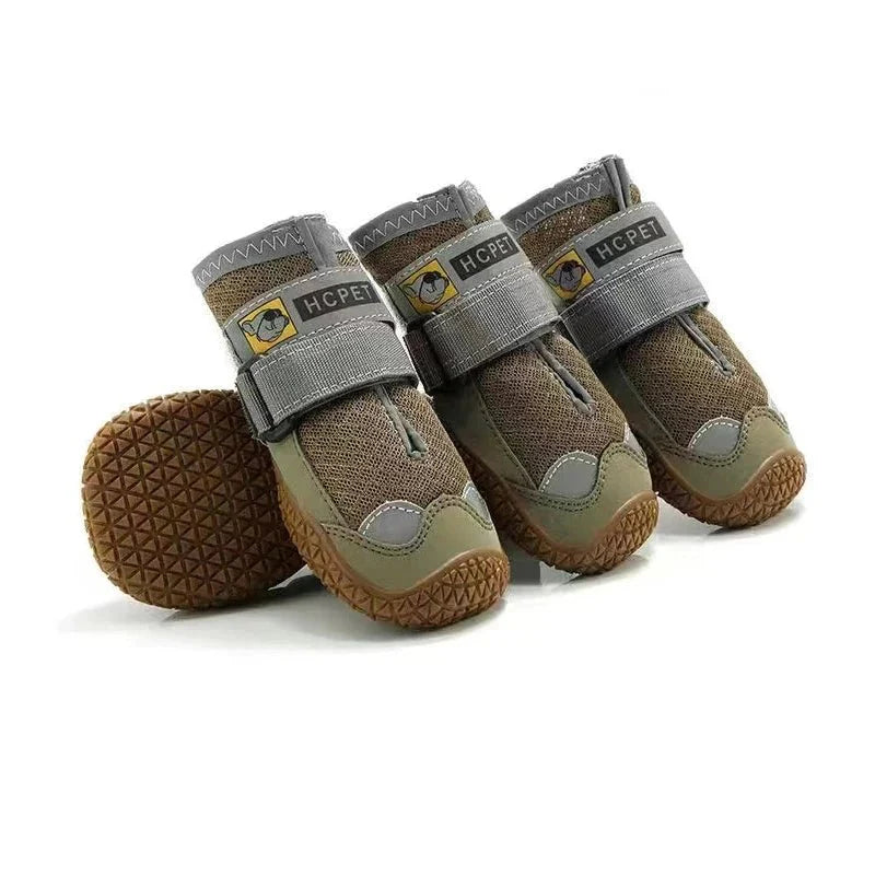 Chaussure Chien Randonnée