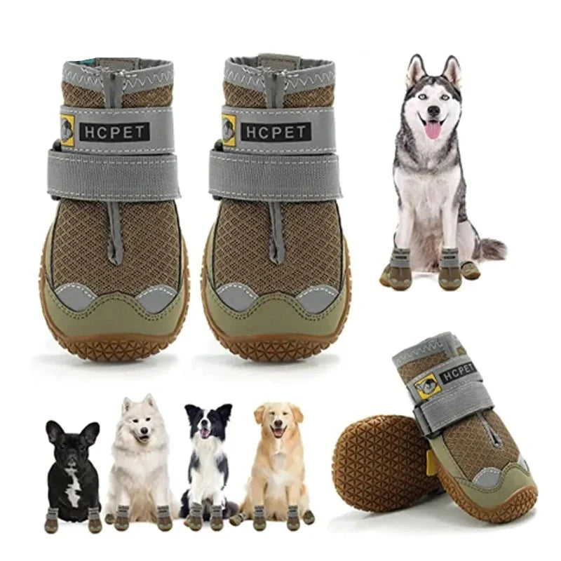 Chaussure Chien Randonnée