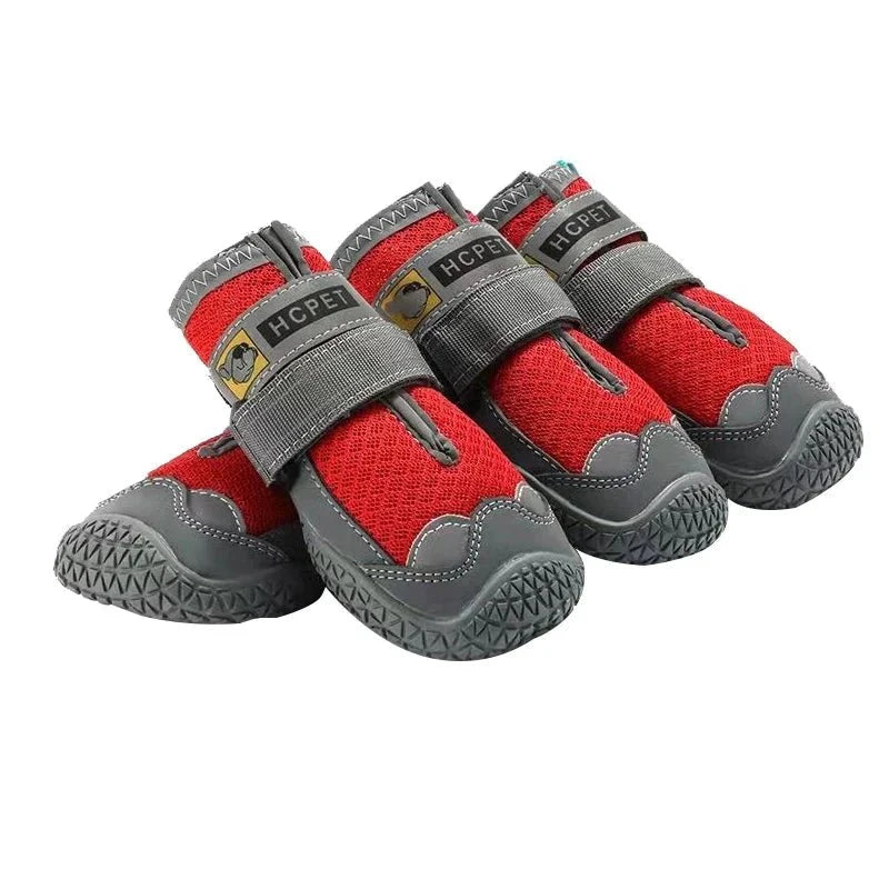 Chaussure Chien Randonnée