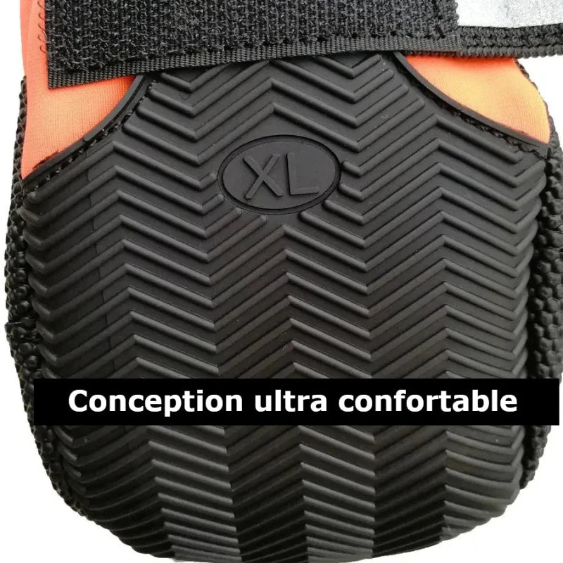 Chaussure Montagne Chien