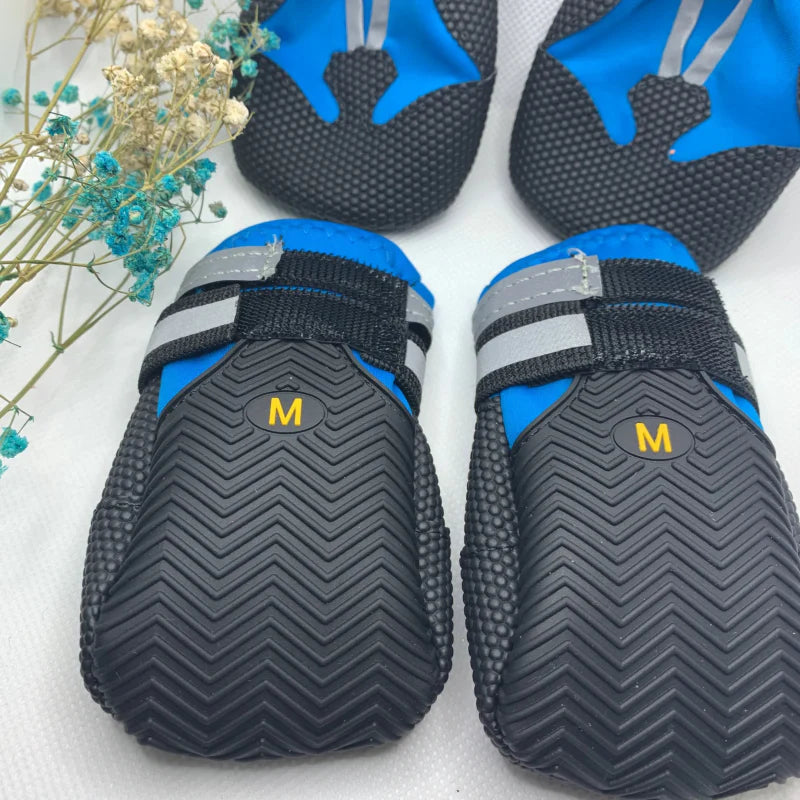 Chaussure Montagne Chien