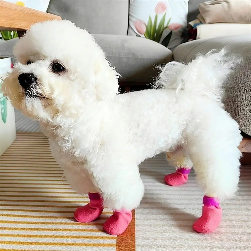 Chaussures Antidérapantes Ajustables Pour Chien
