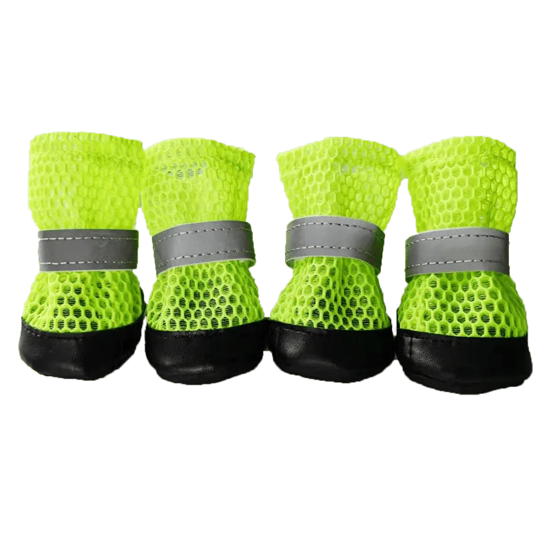 Chaussures Chien Été Vert