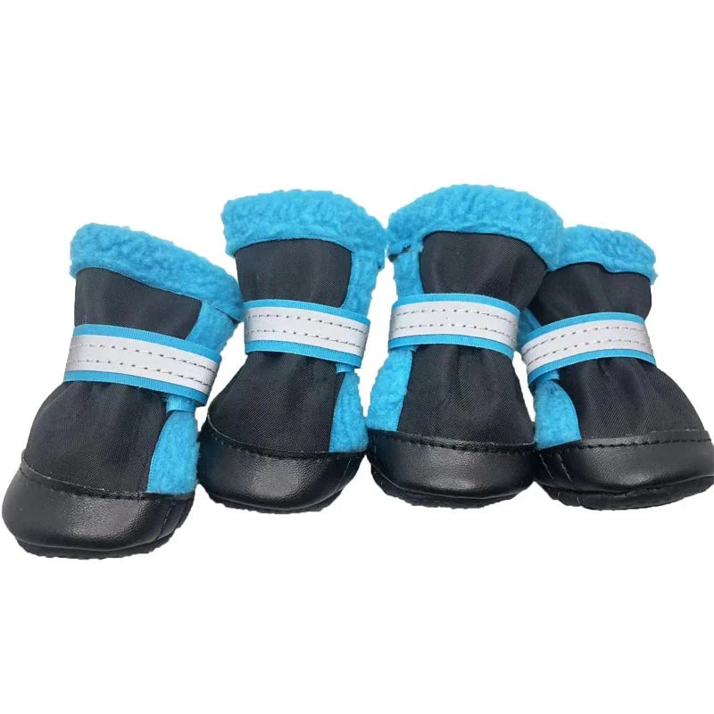 Chaussures Chien Hiver Bleu