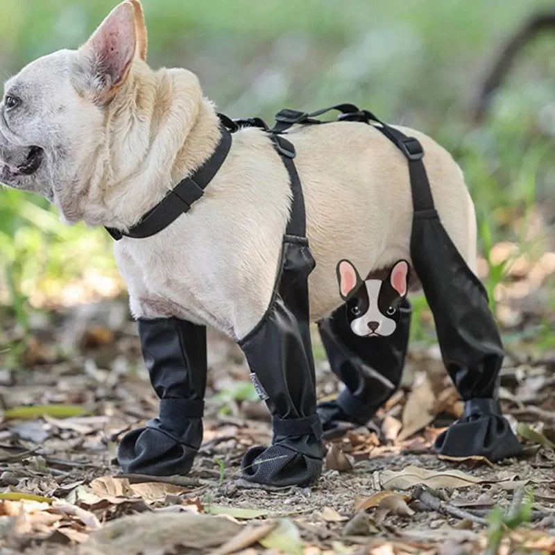 Chaussures Imperméables Chien