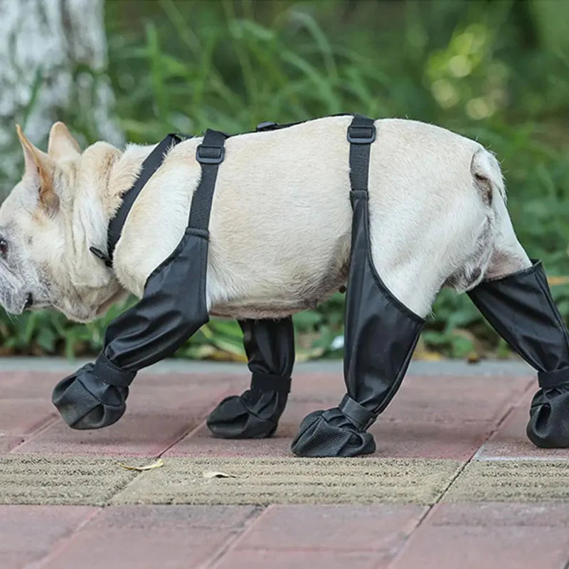 Chaussures Imperméables Chien