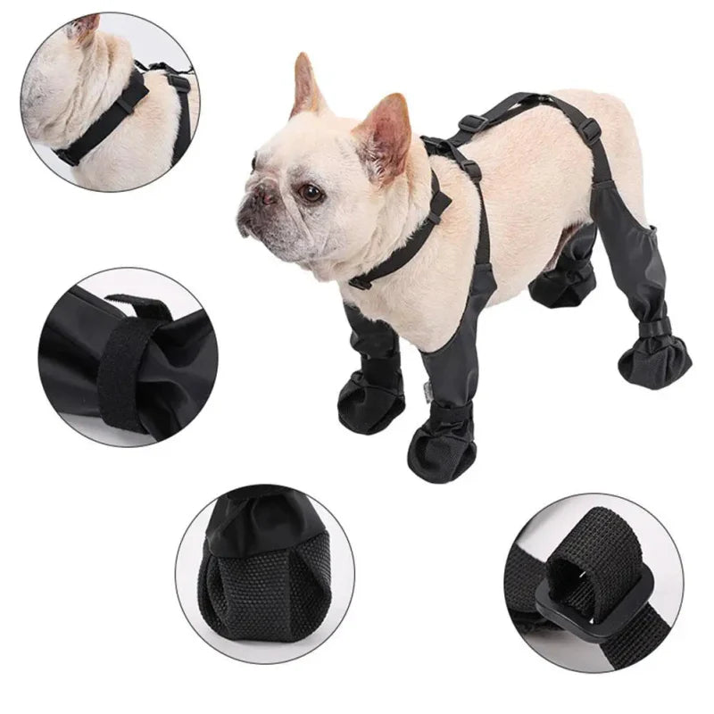Chaussures Imperméables Chien
