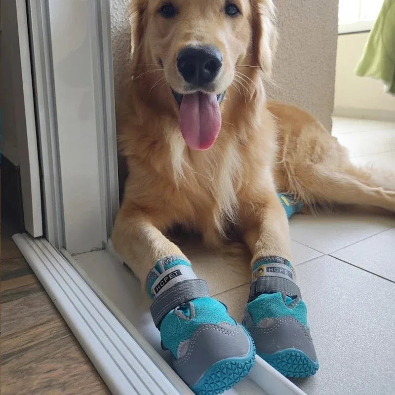 Chaussures Pour Chien Avec Semelles Antidérapantes