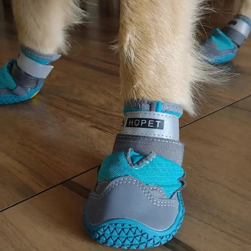 Chaussures Pour Chien Avec Semelles Antidérapantes
