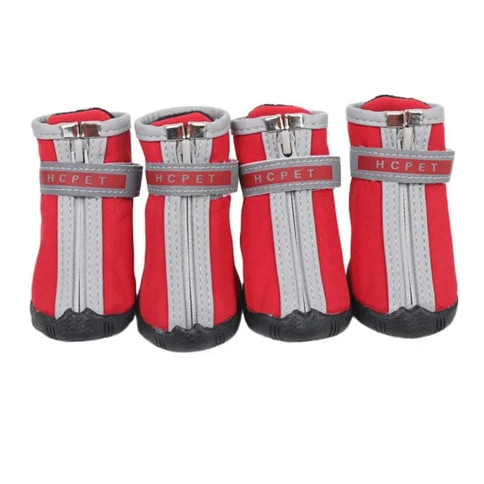 Chaussures pour Chien de Chasse / Traineau