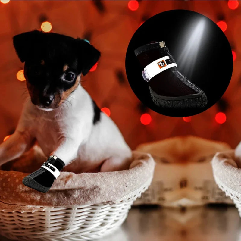 Chaussures pour Chien de Chasse / Traineau
