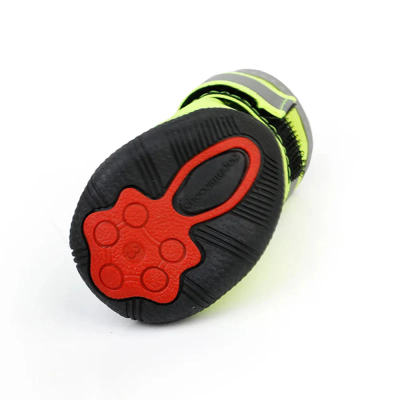 Chaussures pour Chien de Chasse / Traineau