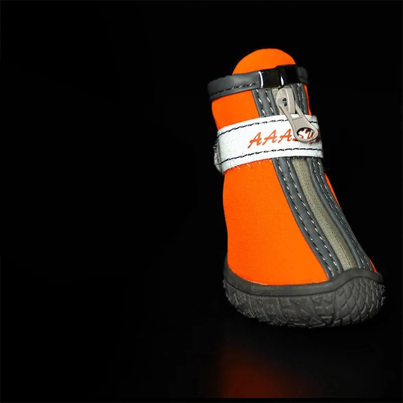 Chaussures pour Chien de Chasse / Traineau