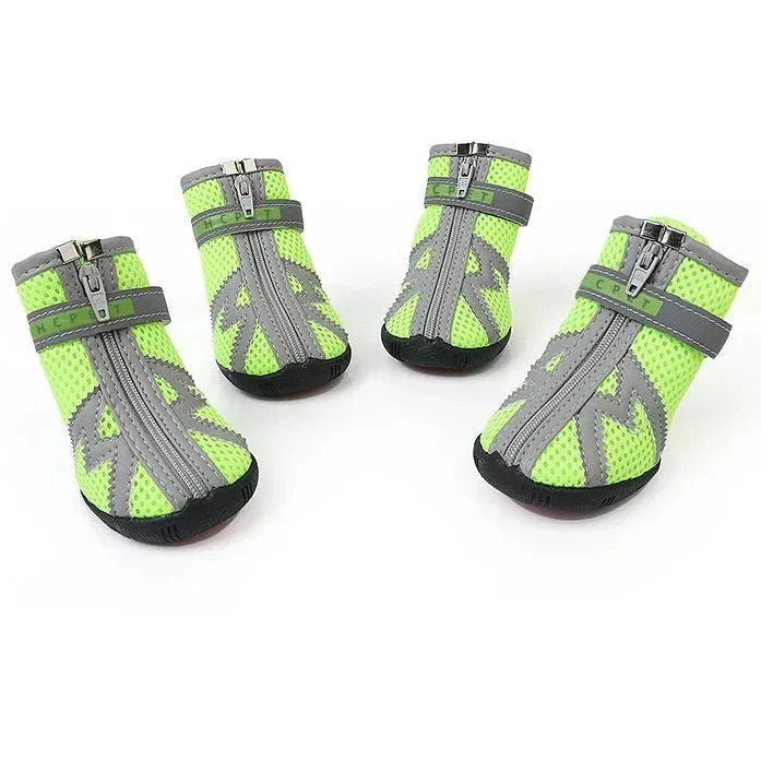 Chaussures pour Chien de Chasse / Traineau