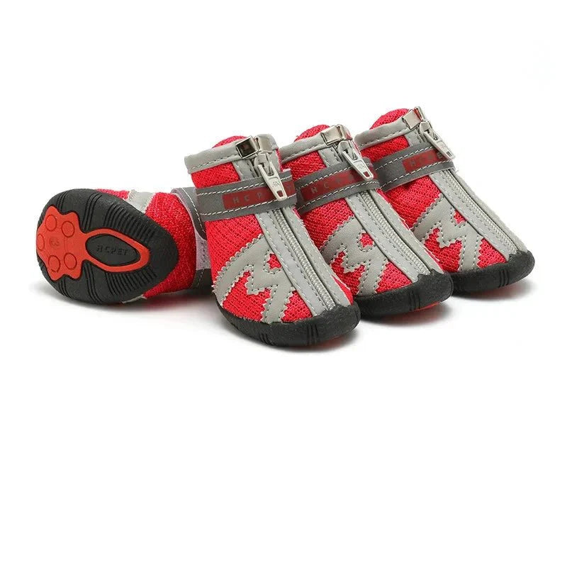 Chaussures pour Chien de Chasse / Traineau