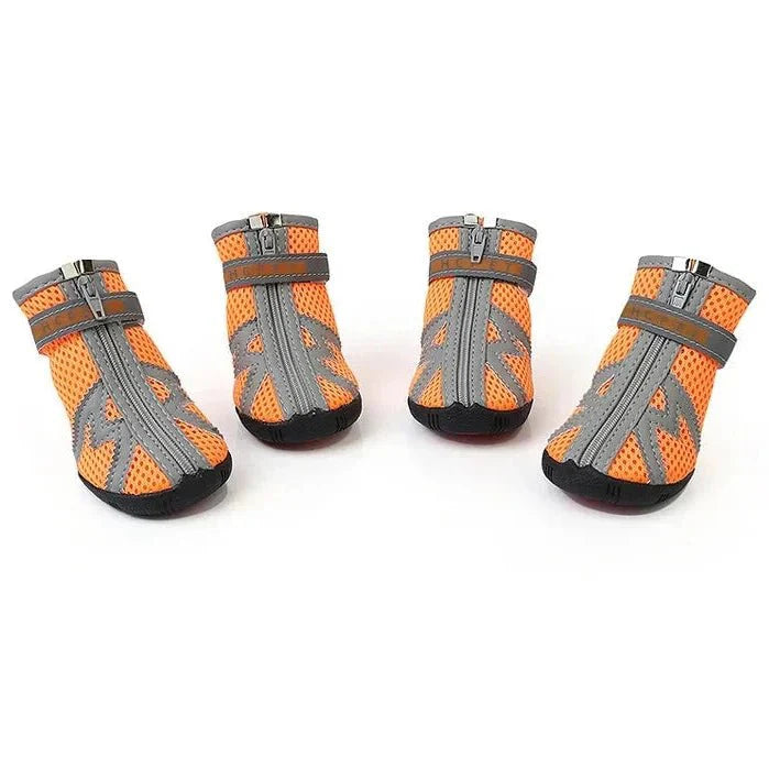 Chaussures pour Chien de Chasse / Traineau