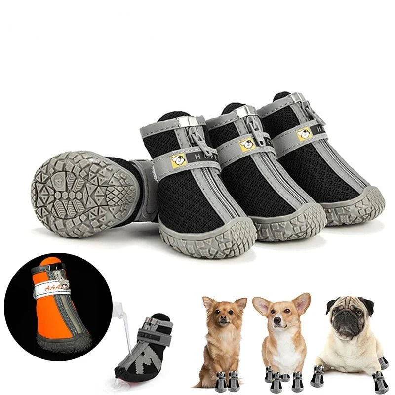 Chaussures pour Chien de Chasse / Traineau