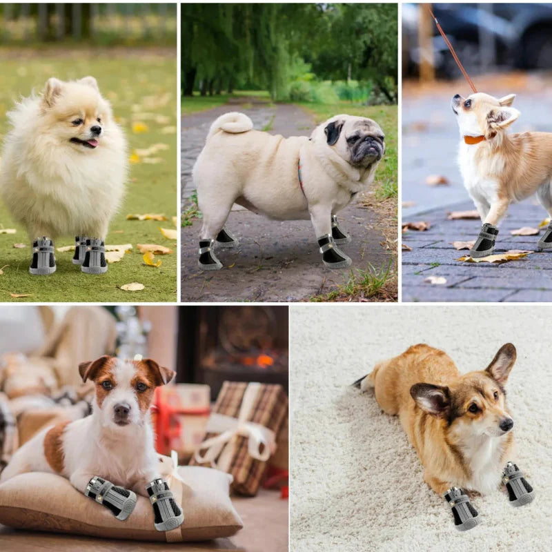 Chaussures pour Chien de Chasse / Traineau