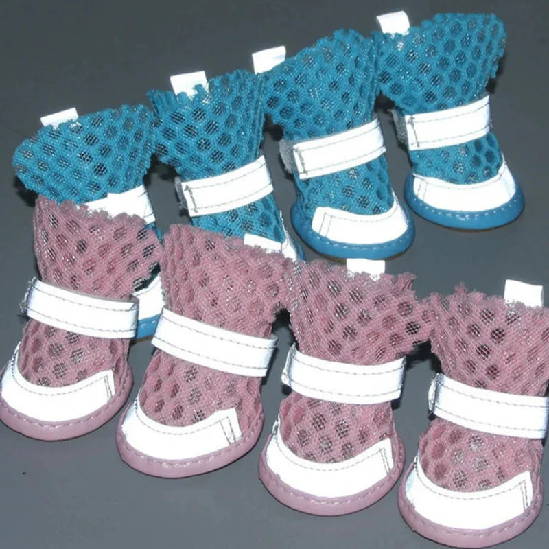 Chaussures Respirantes Chien Été