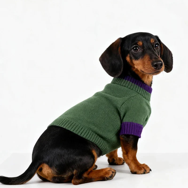 Pull Chaud Et Confortable Pour Chien Teckel