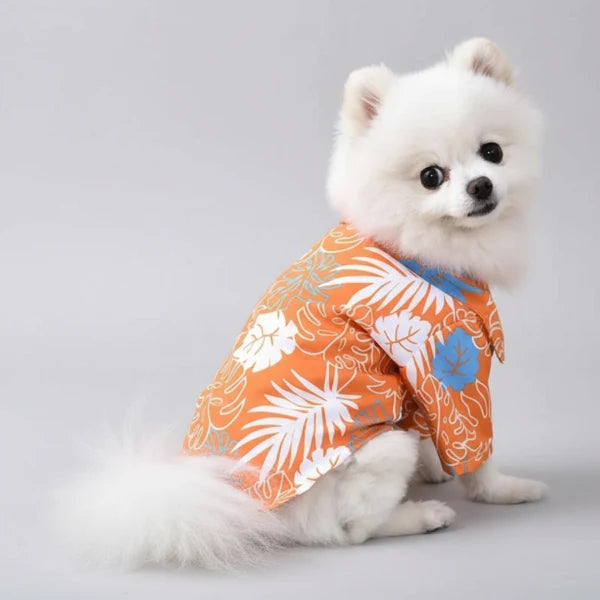 Chemise De Plage Pour Chien Colorée Et Résistante