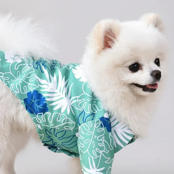Chemise De Plage Pour Chien Colorée Et Résistante