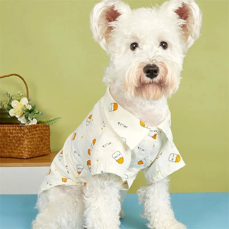 Chemise d'Été pour Chat