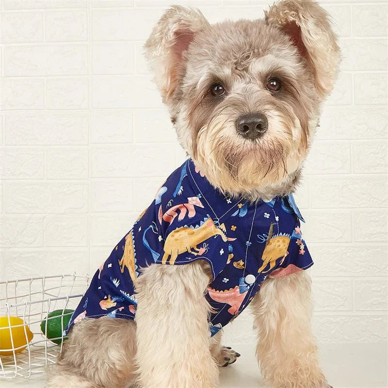Chemise d'Été pour Chat