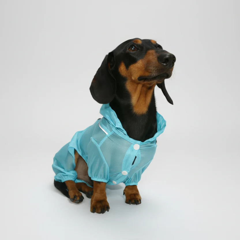Chemise Été Avec Protection UV Pour Chien Teckel