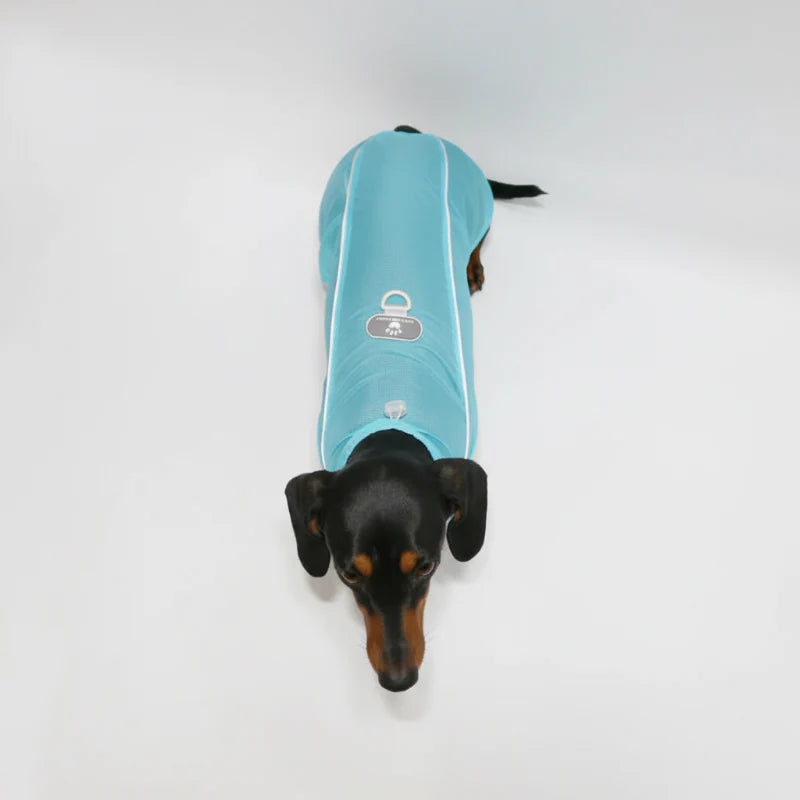 Chemise Été Avec Protection UV Pour Chien Teckel