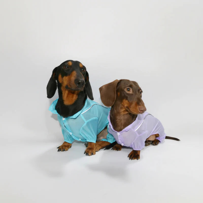 Chemise Été Avec Protection UV Pour Chien Teckel