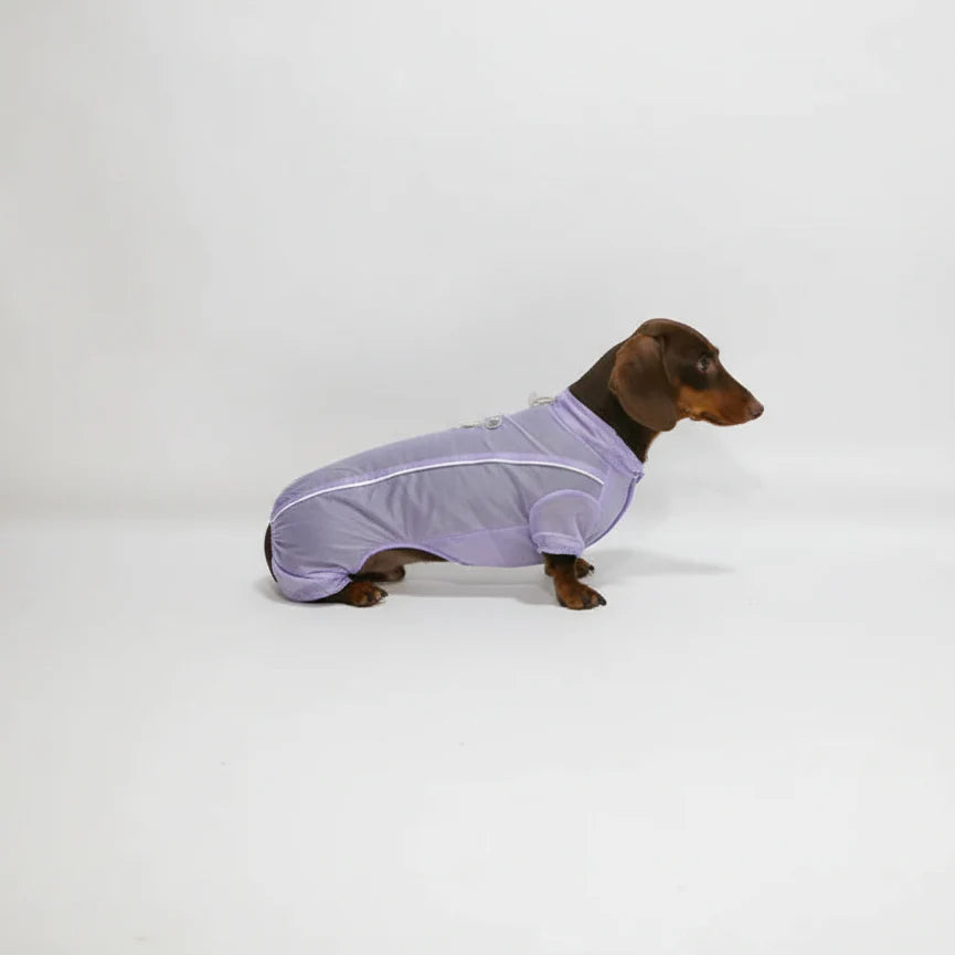 Chemise Été Avec Protection UV Pour Chien Teckel