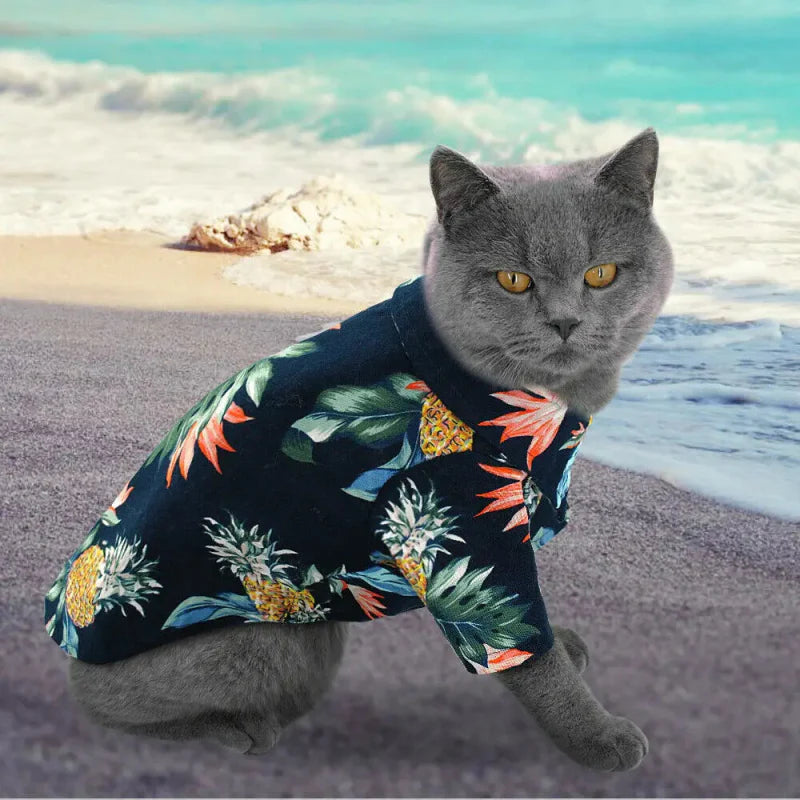 Chemise Hawaï pour Chat