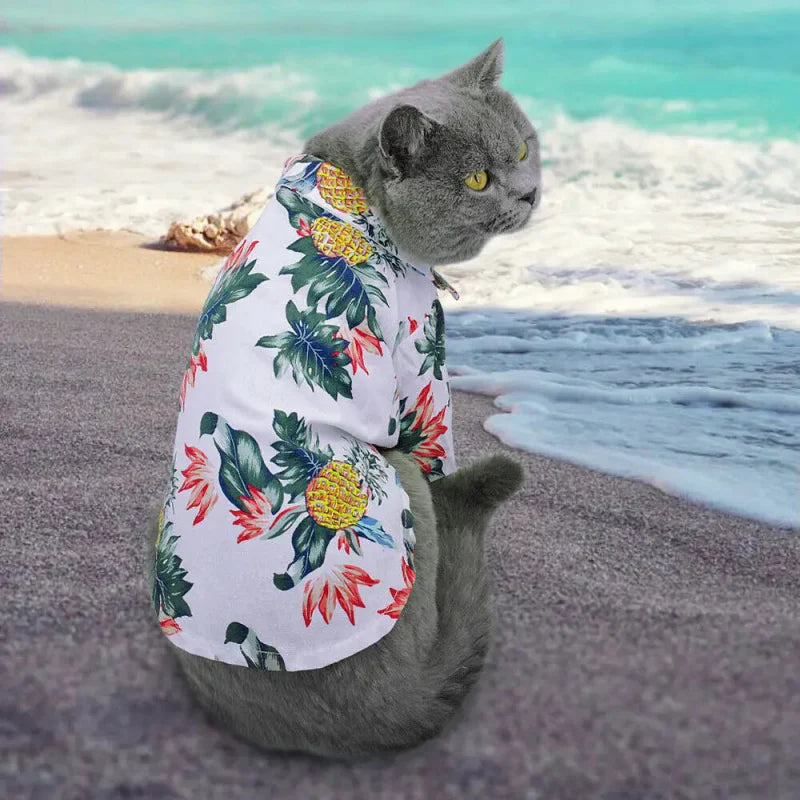 Chemise Hawaï pour Chat