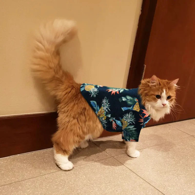 Chemise Hawaï pour Chat