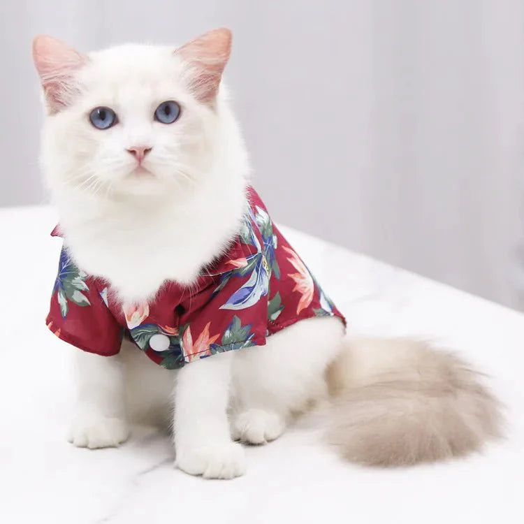 Chemise Hawaïenne Pour Chien