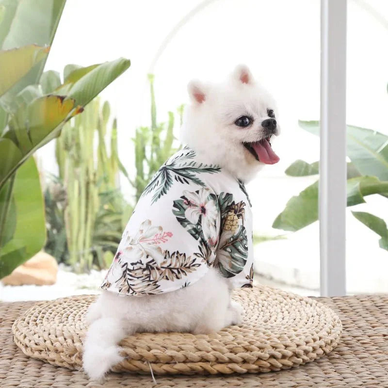 Chemise Hawaïenne Pour Chien