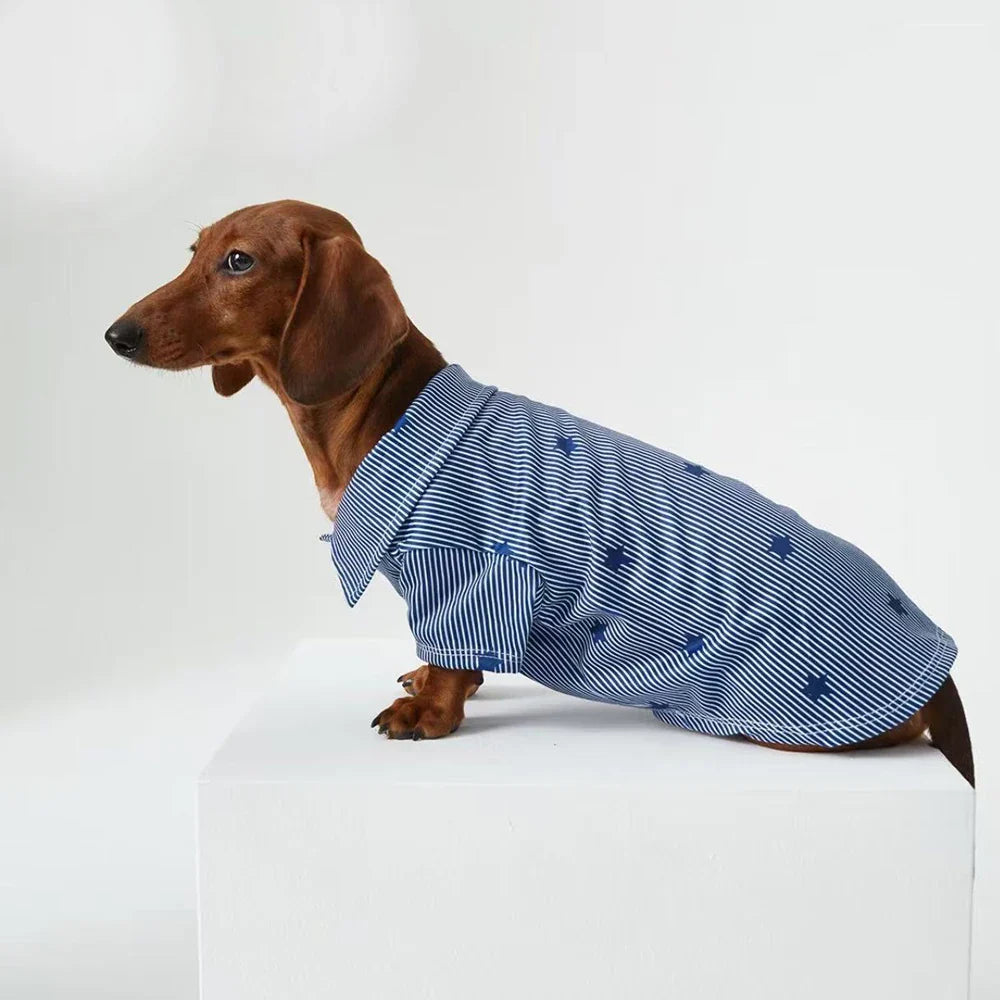 Chemise bleue teckel - Vêtement chien élégant et confortable
