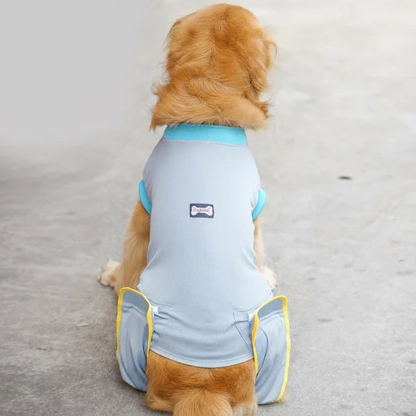 Vêtement Post-Opératoire Chien Confort Optimal