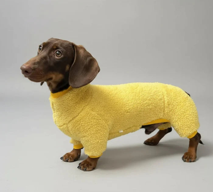 Pull Polaire Confortable Pour Teckel Et Petit Chien