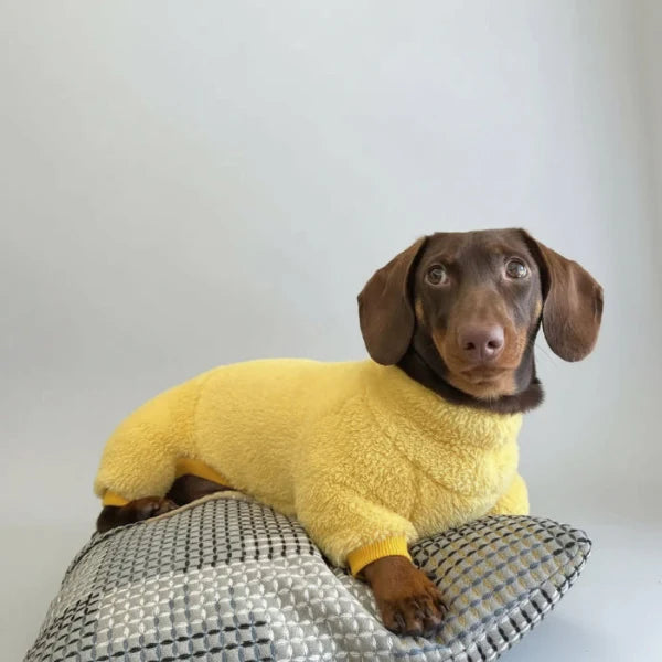 Pull Polaire Confortable Pour Teckel