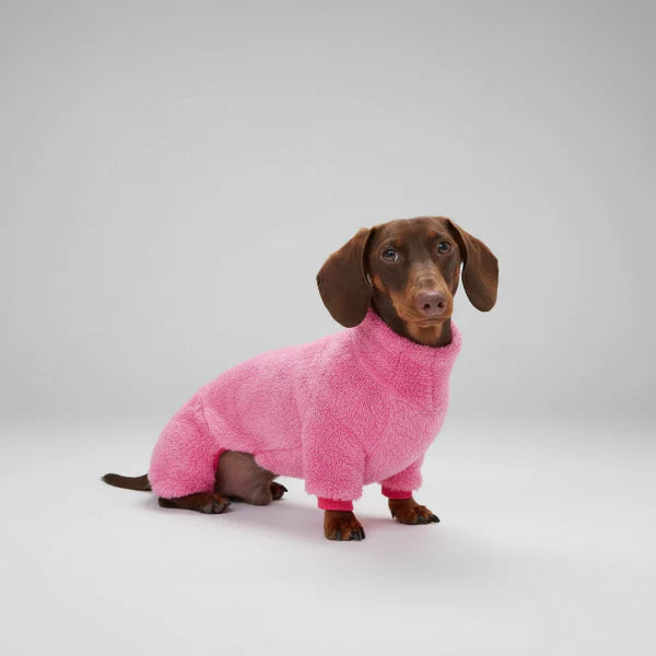 Pull Polaire Confortable Pour Teckel