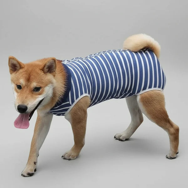 T-Shirt Post-Opératoire Chien Rayé Bleu