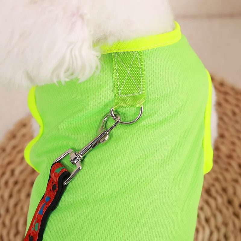 Tee-shirt chien léger - Confort design