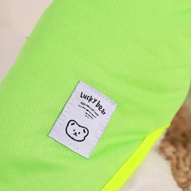 Tee-shirt chien léger - Confort design