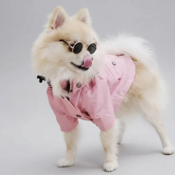 Imperméable pour chien