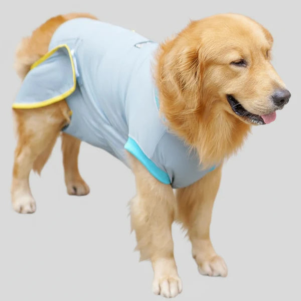 Vêtement Post-Opératoire Chien Confort Optimal