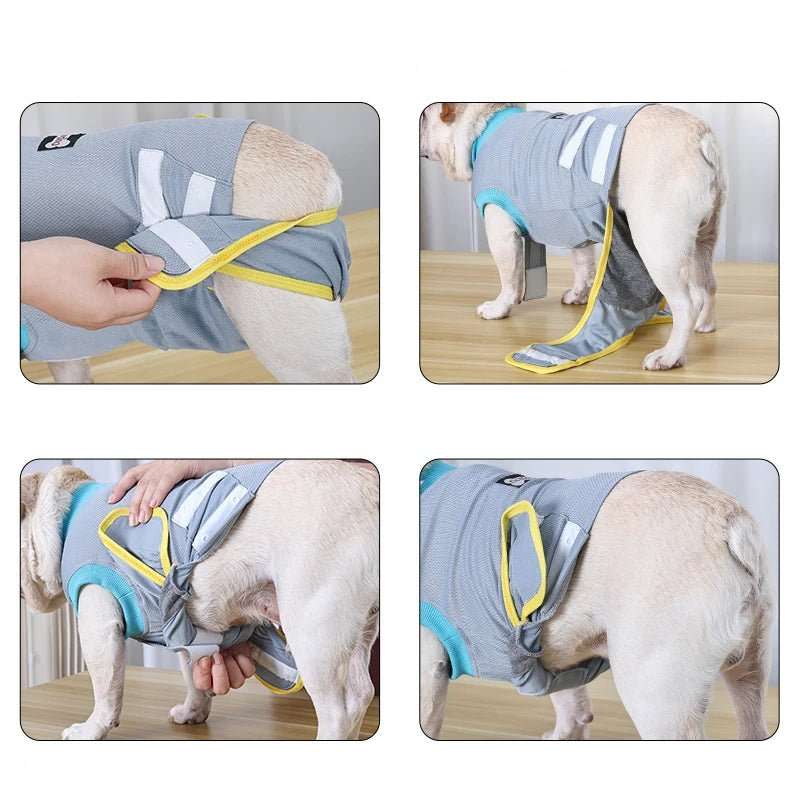 Vêtement Post-Opératoire Chien Confort Optimal