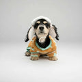Chiot teckel noir et feu portant un manteau polaire pour teckel Oscar et Plume assis sur un tabouret sous la neige