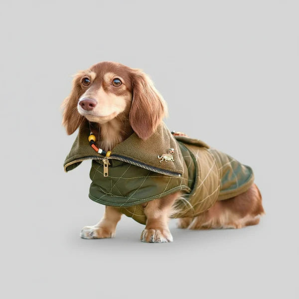 Manteau d'hiver kaki Oscar & Plume : vêtement pour teckel chaud, imperméable et réglable